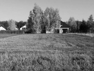Zdjęcie 14954266