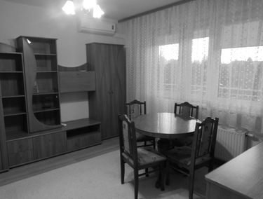 Zdjęcie 14954272
