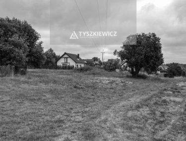 Zdjęcie 14954362