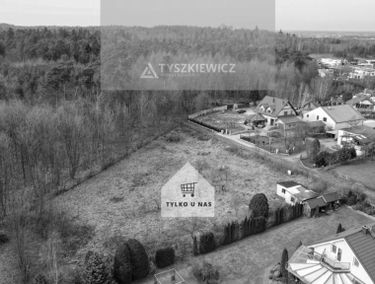 Zdjęcie 14954441