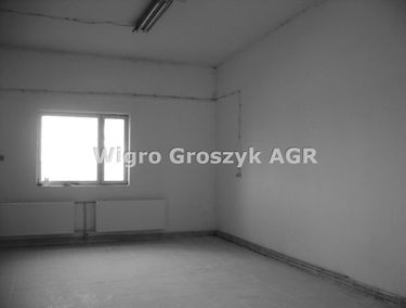 Zdjęcie 14954455