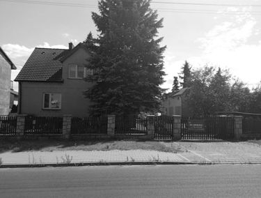 Zdjęcie 14955311