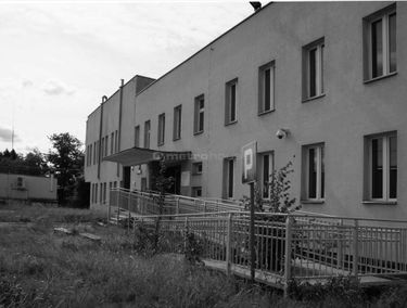 Zdjęcie 14955873