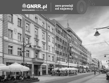 Zdjęcie 14955895