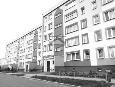 Zdjęcie 14956156