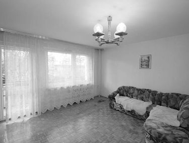 Zdjęcie 14956162