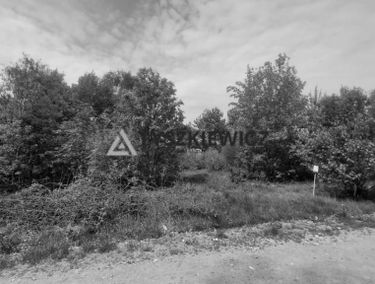 Zdjęcie 14957733