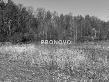 Zdjęcie 14957817
