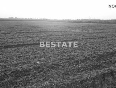 Zdjęcie 14957833