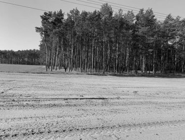 Zdjęcie 14957852