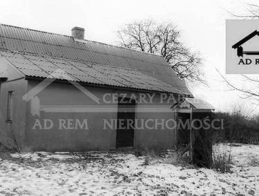 Zdjęcie 14957858
