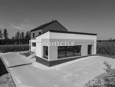 Zdjęcie 14960317