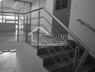Zdjęcie 14961948