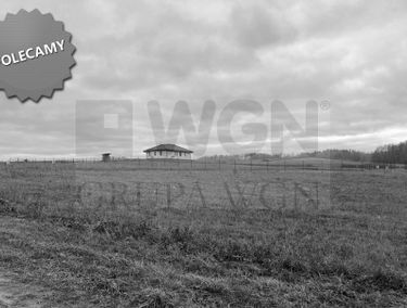 Zdjęcie 14961985