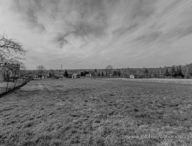 Zdjęcie 14962108