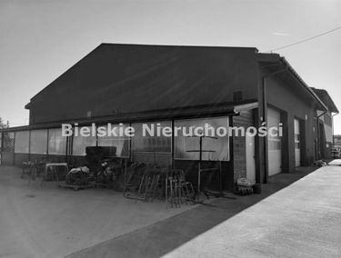 Zdjęcie 14962540