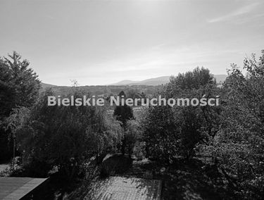 Zdjęcie 14962560