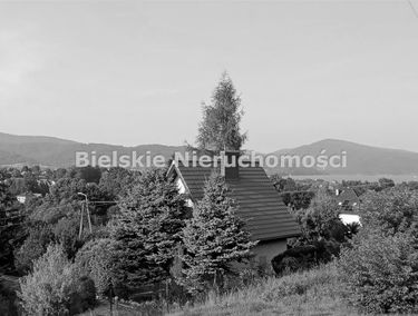 Zdjęcie 14962566