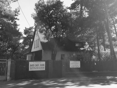 Zdjęcie 14963930