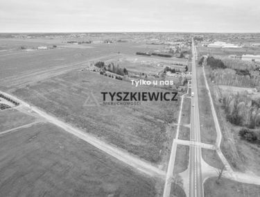 Zdjęcie 14963995