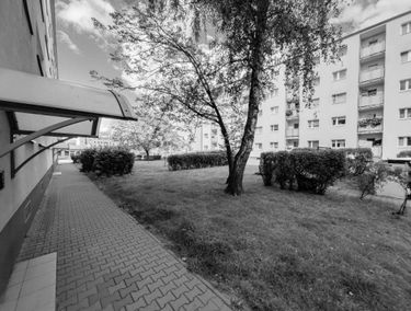 Zdjęcie 14964926