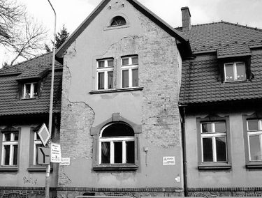 Zdjęcie 14965021