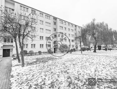 Zdjęcie 14967981