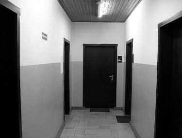 Zdjęcie 14968335