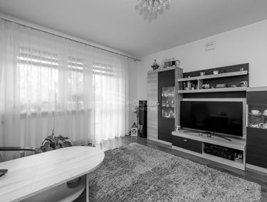 Zdjęcie 14968638