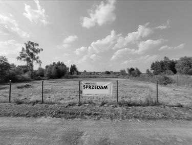 Zdjęcie 14968992