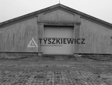 Zdjęcie 14968999