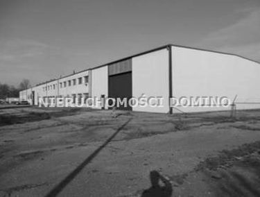 Zdjęcie 14969061
