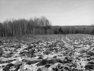 Zdjęcie 14969638