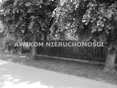 Zdjęcie 14970186