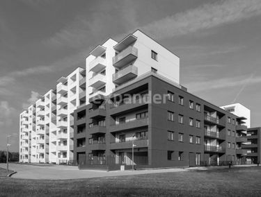 Zdjęcie 14970293