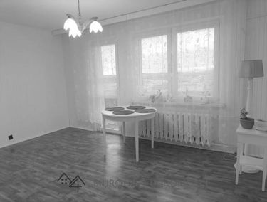 Zdjęcie 14970502