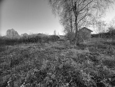 Zdjęcie 14971271