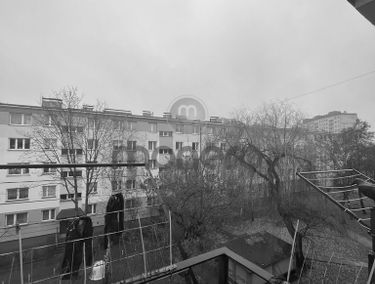 Zdjęcie 14971367