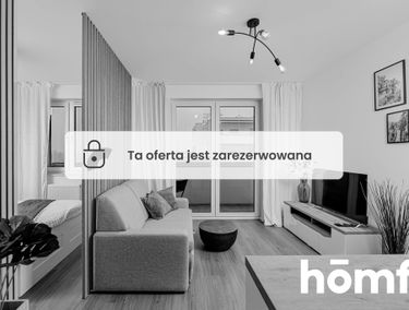 Zdjęcie 14971808