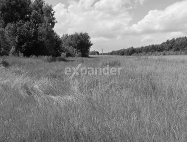 Zdjęcie 14973842