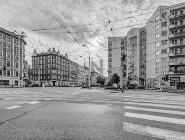 Zdjęcie 14974095