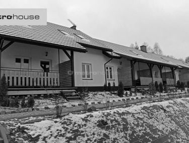 Zdjęcie 14975270