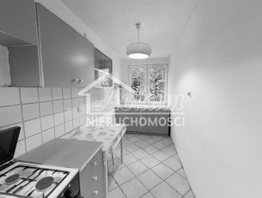 Zdjęcie 14975330