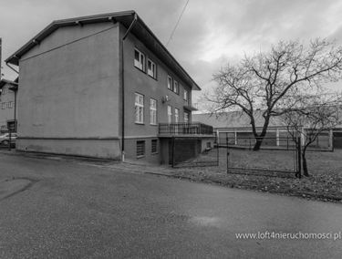 Zdjęcie 14975514
