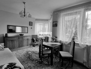 Zdjęcie 14976180