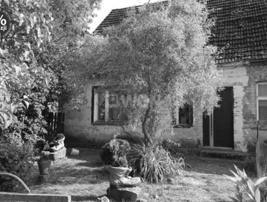 Zdjęcie 15014769
