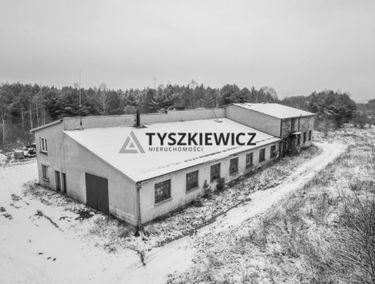 Zdjęcie 14977002