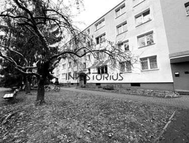 Zdjęcie 14977448
