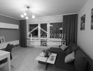 Zdjęcie 14978524