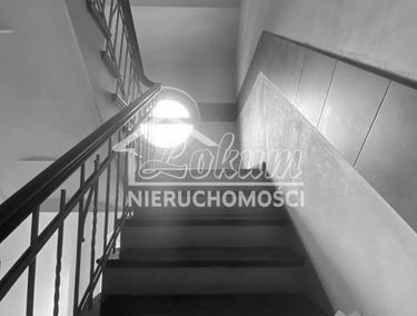 Zdjęcie 14979889